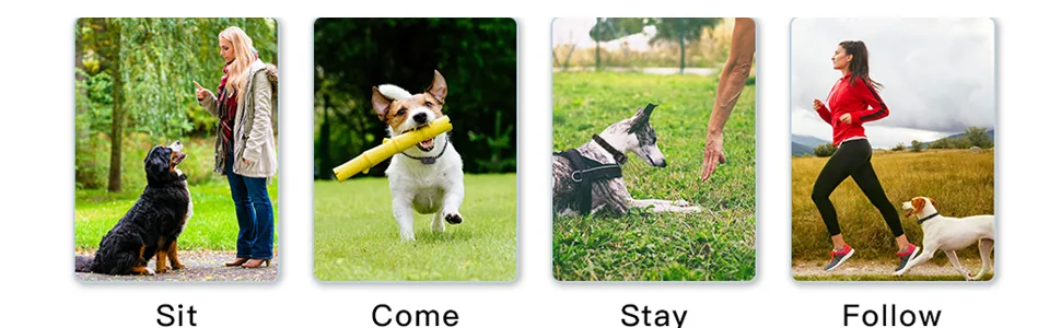 Dog Training Collar Training Dog Collar Dog Remote training collar Beep Vibrations Training Modes Remote Control 1000ft Remote Range Suitable for All Dogs - anti barking dog collars