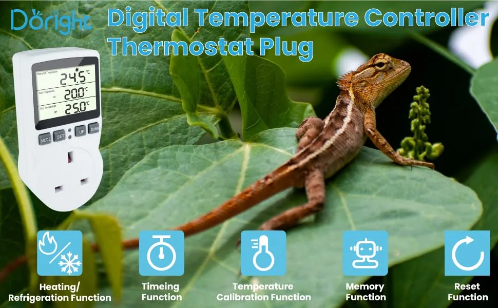 Doright Digital Temperature Controller LCD Screen Heating Cooling Temperature Switch Thermostat UK Plug 250V/13A Digital Temperature Controller for Greenhouse Farm Terrarium Reptile - Digital Temperature Controller
