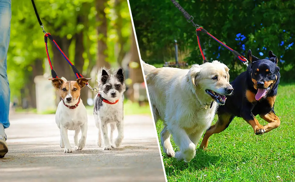 Double Dog Leash Coupler 360 Rotation Dog Lead Splitter for 2 Large Medium Small Puppy Dogs color 1 - product information 6