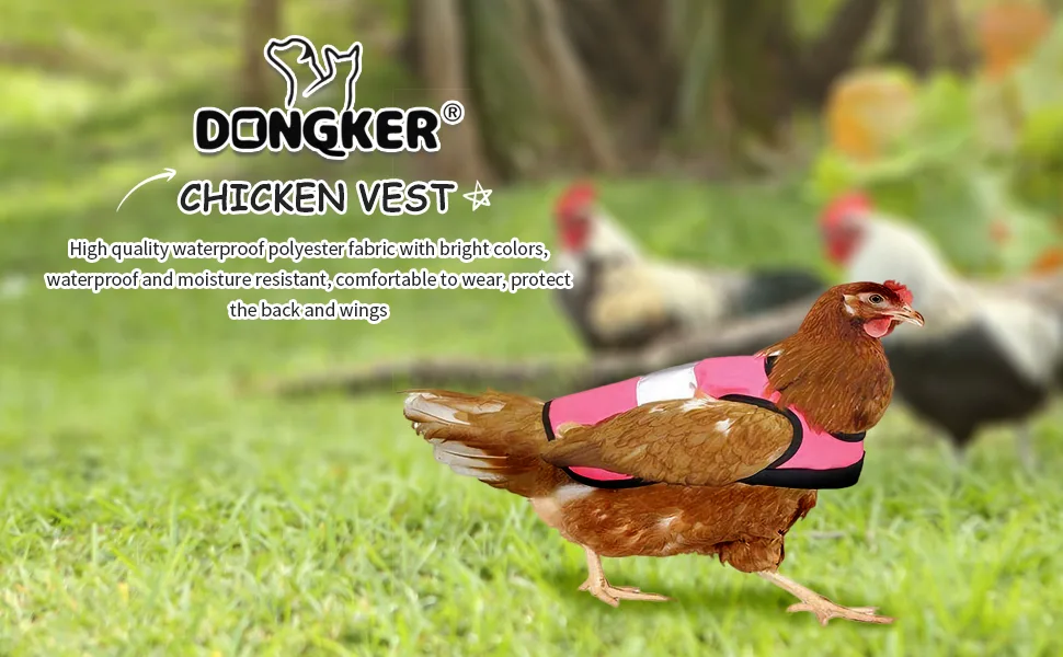 Chicken Reflective Vest Poultry Hen Saddle Apron w/Adjustable Strap for Chicken Duck Geese green - product information 1
