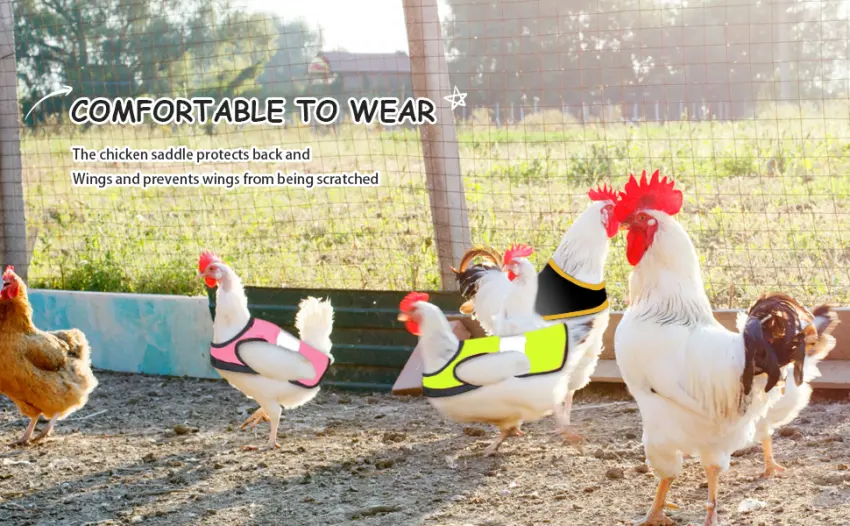 Chicken Reflective Vest Poultry Hen Saddle Apron w/Adjustable Strap for Chicken Duck Geese green - product information 7