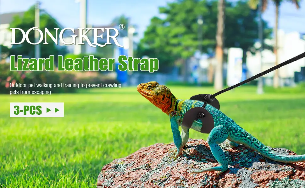3PCS Bearded Dragon Lizard Leash Harness Adjustable Reptile Leather Harness Bearded Dragon Rope with Cool Wings for Amphibians & Other Small Pet Animals - product information 1