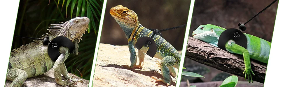3PCS Bearded Dragon Lizard Leash Harness Adjustable Reptile Leather Harness Bearded Dragon Rope with Cool Wings for Amphibians & Other Small Pet Animals - product information 6