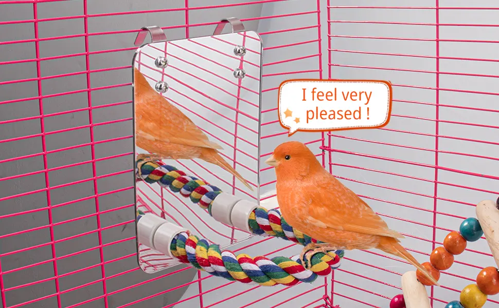 Bird Mirror Perches Rope for Cage Parrot/Budgies/Small Birds/Cockatiels/Parakeet Colorful Stand Toy - Bird Mirror