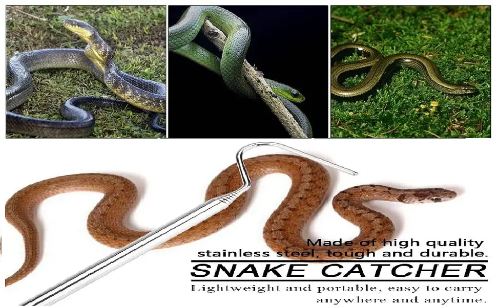 Snake Hook Extensible Stainless Steel Snake Catcher Capture Hook for Reptile Catching Controlling Moving Snakes 16.5-68cm /6.5-26.7in - product information 2