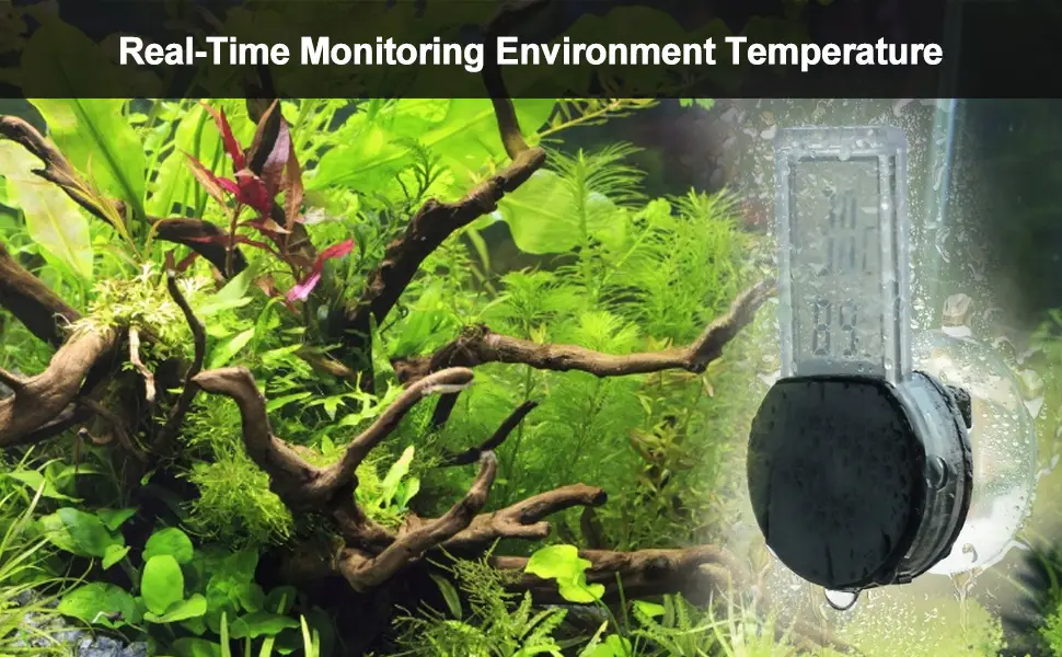Reptile Electronic Hygrometer Thermometer Waterproof Real-time Lizard Crawler Box Rainforest Tanks Humidity Temperature Monitor with Built-in Sensor(Black) - reptile thermometer hygrometer