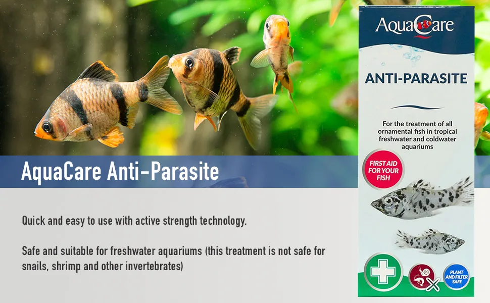 AquaCare Anti-Parasite 100ml - Anti-Parasite