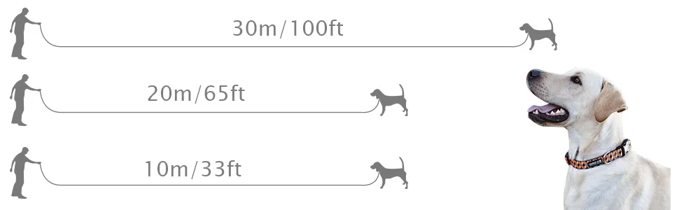 Dog Training Lead Long Leads Rope Nylon Floatable Long Reflective Recall Dog Training Rope with Comfortable Handle for Hiking Camping Walking (65FT/20M) - Perfect for Exercises with Puppies