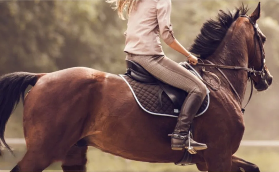 Pssopp Horse Spur Strap Handmade Genuine Leather Equestrian Spur Strap Riding Accessories Black - Pssopp Horse Spur Strap