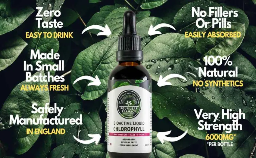 Liquid Chlorophyll Drops for Water - High Strength Chlorophyll Liquid 6000mg - Made in UK - 2 Month Supply - manufacturing four leaf farmacy