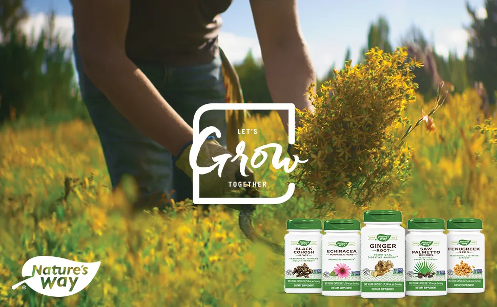 Nature's Way Energizing Iron 90 Softgels - Nature