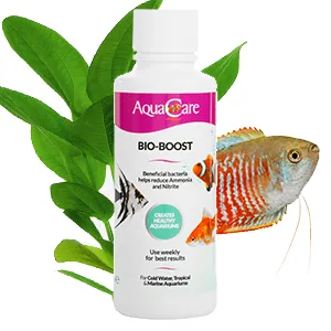 AquaCare Bio Boost Filter Bacteria Booster For Freshwater Aquariums (240ml) - Bio Boost