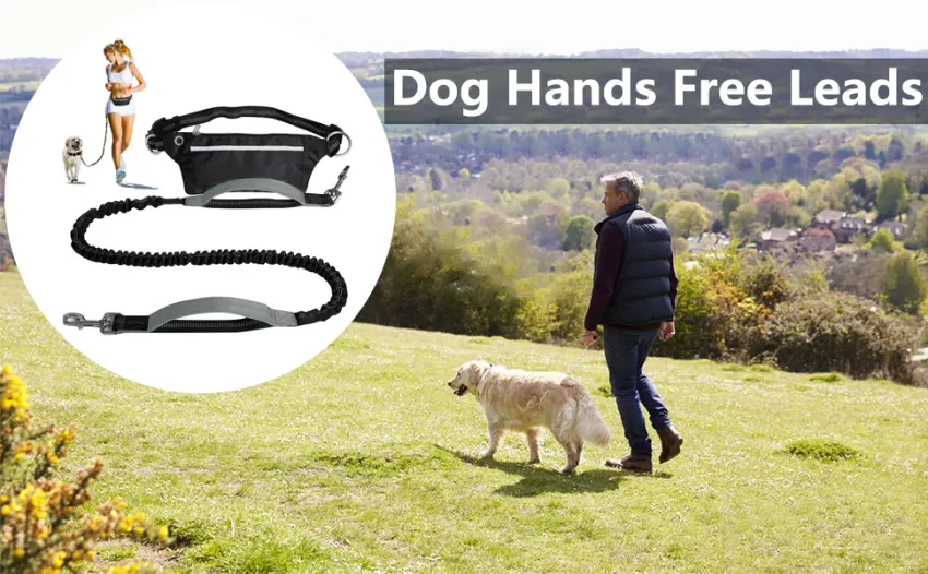 Retoteng Hands-free leash Adjustable Leash with Belt Pouch Double Handles Shock-absorbing Reflective Stitching Suitable for Medium and Large Dogs - product information 2
