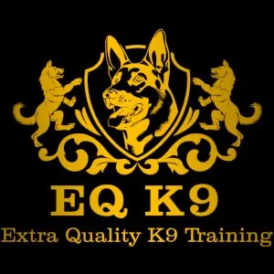 EQ K9 Slip Collar for Dog Training Handmade Choke Collar for Pulling Behaviour and Obedience Training with Strap Handle and Chrome Limiter 4mm L Breeds L ( 56cm ) - eq k9 training