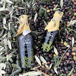 Uma Extra Virgin Olive Oil | Rich Aroma & Balanced Taste | Ideal for Cooking & Dressing | Cold Extraction | Premium Italian Blend | 2 x 250ml - Olive Oil
