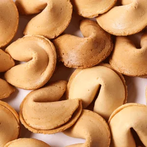 Vmart Garden Chinese Fortune Cookies - Individually Wrapped Biscuits Bulk Cookie (20 Pcs) - authentic taste