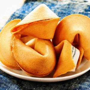 Vmart Garden Chinese Fortune Cookies - Individually Wrapped Biscuits Bulk Cookie (20 Pcs) - be patient