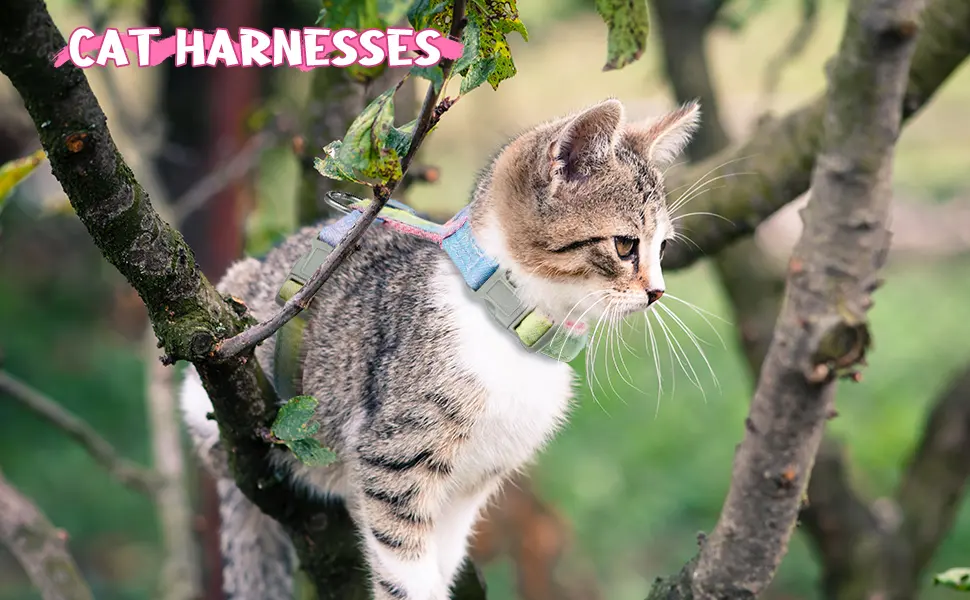 Pinenuts Cat Harness and Lead Set Escape Proof Cat Harnesses and Leash Soft Adjustable Cat Collars Rainbow Kitten Harness for Outdoor Walking - product information 5