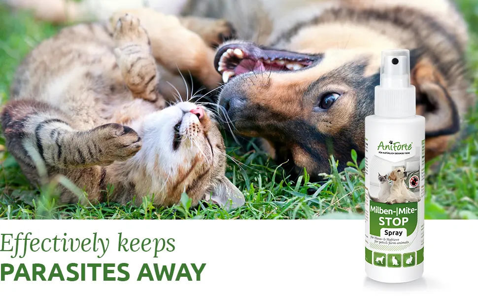 AniForte Mite-STOP Spray 100ml: Rapid Insect & Mite Repellent & Treatment For Dogs Cats & Horses - AniForte Mite-STOP Spray 100ml