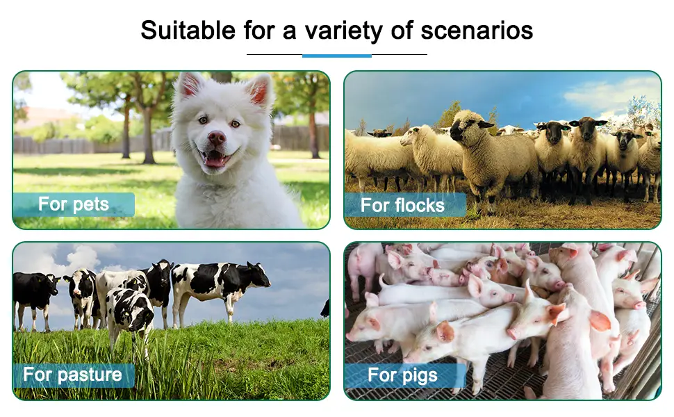 Pet Thermometer High Precision Veterinary Infrared Thermometer Blue Non-Contact Digital Thermometer for Pig Sheep Horse Dog - Pet Thermometer