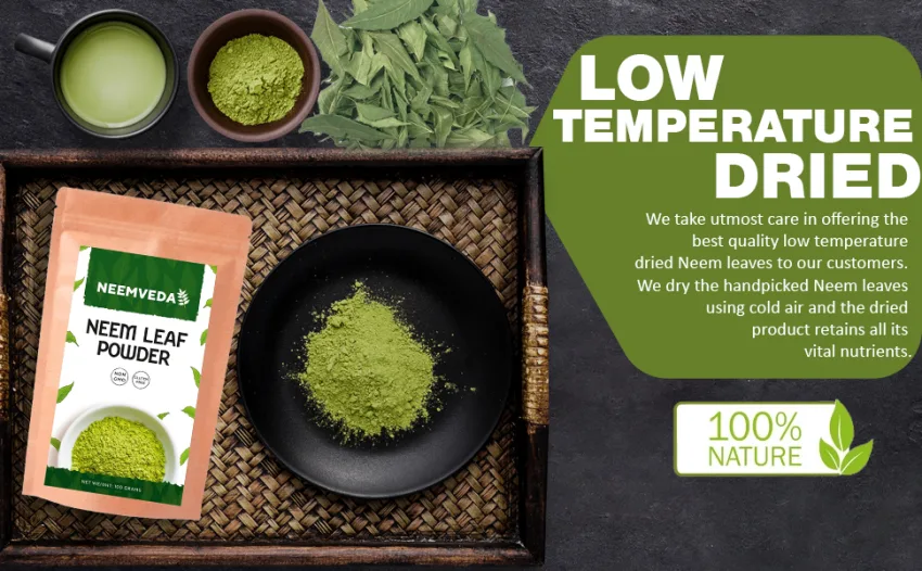 Neemveda Neem Leaf Powder 100 Grams (Azadirachta Indica) for Eating Naturally Grown Premium Quality Neem Powder - Neem Leaf Powder