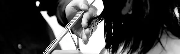 Titan Scissors | Offset Hair Cutting Japanese Style Scissors | Proffesional Barbering Scissors | Sharp Edge | Hand Made Steel 6.5" inch - product information 1