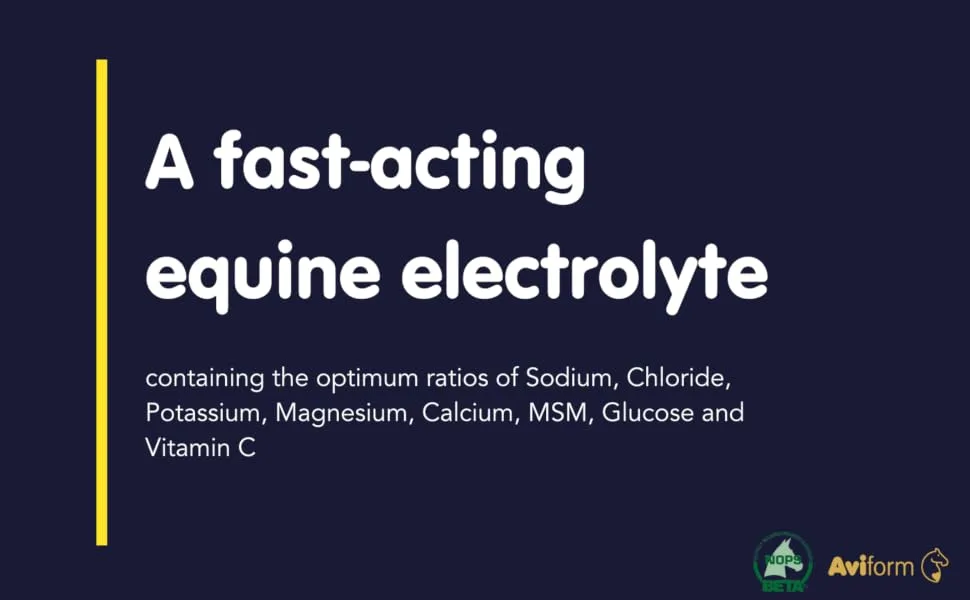 Aviform ELECTROFORM EQ | Equine Electrolytes | Rehyrdation | Recovery | 1kg Compostable Pouch | Express Delivery Available - horse supplement, supplement for horses, horse dehydrated, horse water, dehydration horse,