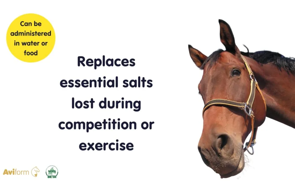Aviform ELECTROFORM EQ | Equine Electrolytes | Rehyrdation | Recovery | 1kg Compostable Pouch | Express Delivery Available - horse supplement, supplement for horses, horse dehydrated, horse water, dehydration horse,