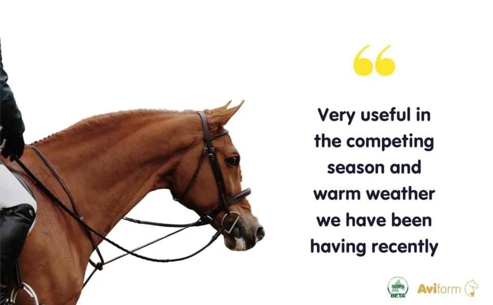 Aviform ELECTROFORM EQ | Equine Electrolytes | Rehyrdation | Recovery | 1kg Compostable Pouch | Express Delivery Available - horse supplement, supplement for horses, horse dehydrate,