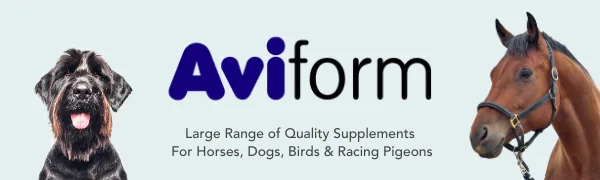 Aviform MOBILEAZE EQ Equine Mobility - Devil's Claw Equine Mobility Supplement with Added MSM 1000ml | Express Delivery available - horse supplement equine supplements herbs for horses equine joint supplement
