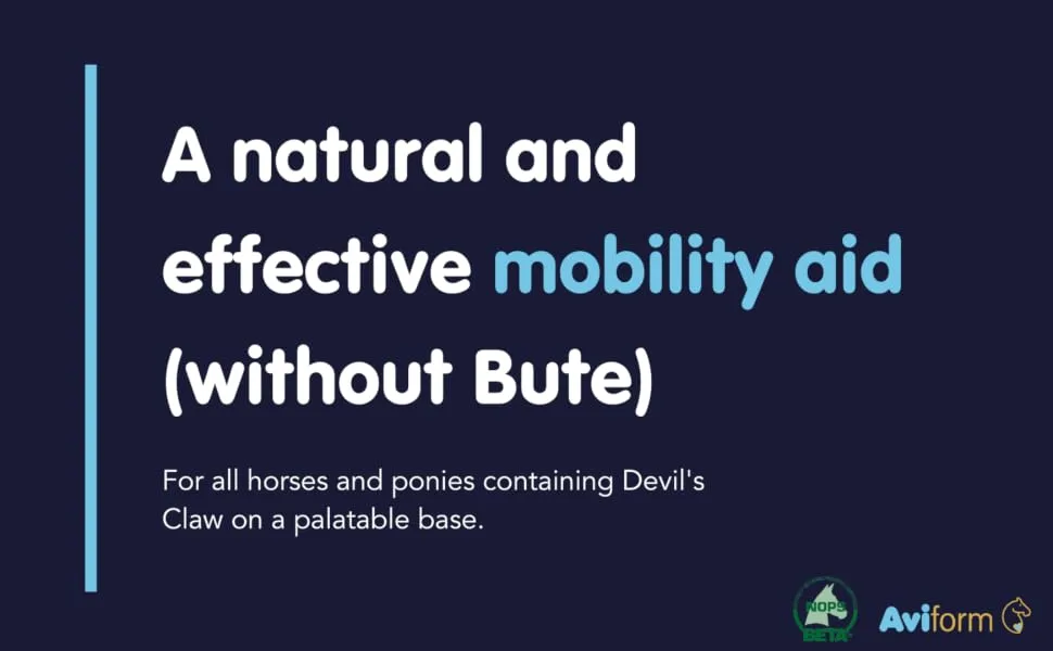 Aviform MOBILEAZE EQ Equine Mobility - Devil's Claw Equine Mobility Supplement with Added MSM 1000ml | Express Delivery available - horse supplement equine supplements herbs for horses equine joint supplement