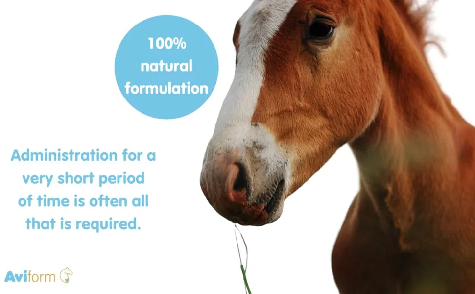 Aviform MOBILEAZE EQ Equine Mobility - Devil's Claw Equine Mobility Supplement with Added MSM 1000ml | Express Delivery available - horse supplement equine supplements herbs for horses equine joint supplement