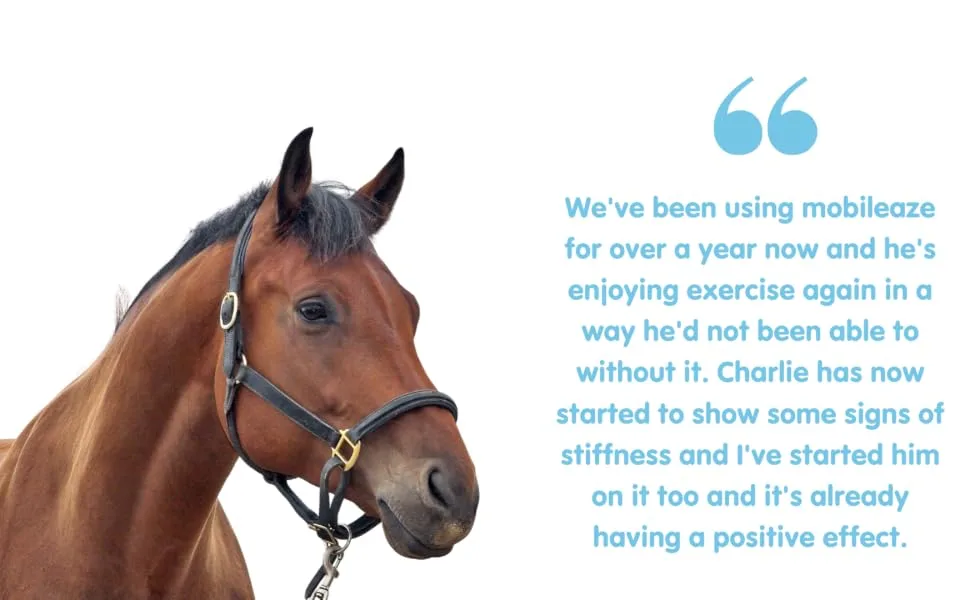Aviform MOBILEAZE EQ Equine Mobility - Devil's Claw Equine Mobility Supplement with Added MSM 1000ml | Express Delivery available - horse supplement equine supplements herbs for horses equine joint supplement