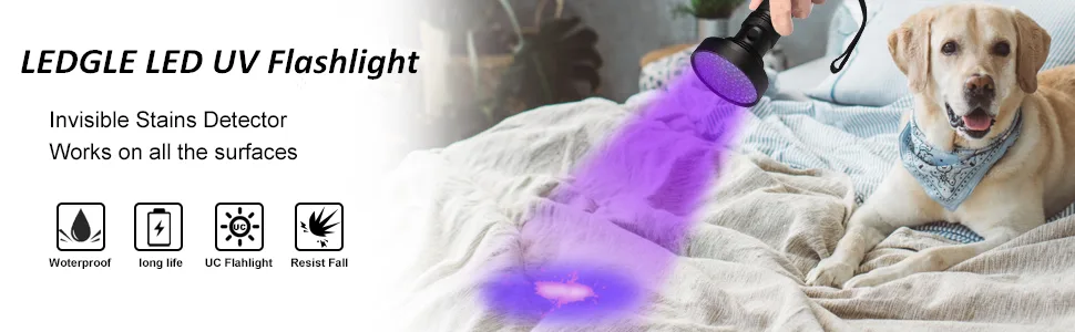 LEDGLE LED UV Flashlight UV Beast Pet Urine Finder Stain Detector Black Lights Torch 100 LED Beads with Lanyard - led flashlight