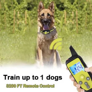 Wizco Remote Control Barking Training Collar with Safety Lock & Flashing Light USB Rechargeable Beep Vibrations Training Modes Up to 1000 Yards Remote Range New Remote Anti bark Collar (GREEN) - 1 Dog Control