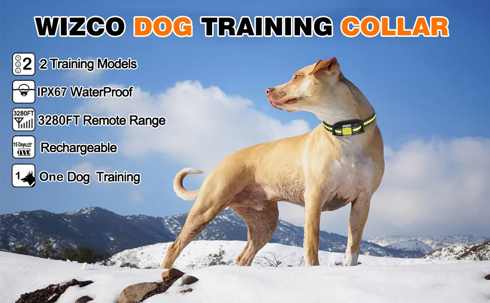Wizco Remote Control Barking Training Collar with Safety Lock & Flashing Light USB Rechargeable Beep Vibrations Training Modes Up to 1000 Yards Remote Range New Remote Anti bark Collar (GREEN) - dog training collar, remote control dog trainer
