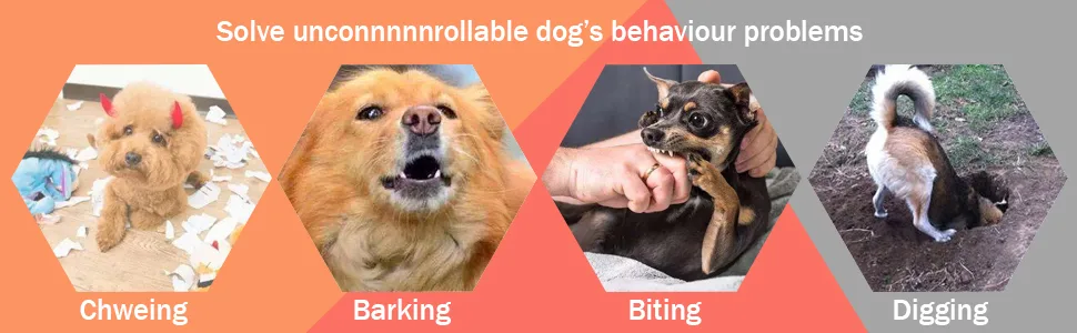 Eyeleaf Dog Training Collar for 2 dogs Vibrating Dog Collar with Remote Control Strong Vibration/Beep Mode Rechargeable Waterproof Dog Barking Collar for Home Dog Training Device - 970.300