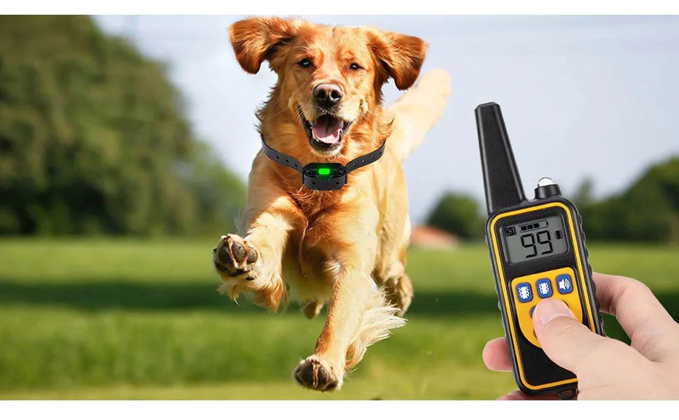 Eyeleaf Dog Training Collar for 2 dogs Vibrating Dog Collar with Remote Control Strong Vibration/Beep Mode Rechargeable Waterproof Dog Barking Collar for Home Dog Training Device - 970.600.1
