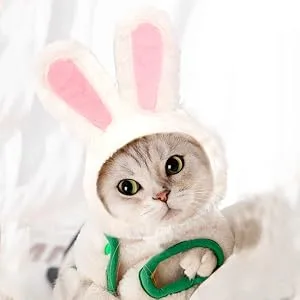 DIYDEC Cute Costume Bunny Rabbit Hat with Ears for Cats & Small Dogs Party Costume Easter Pet Accessory Headwear - product information 2