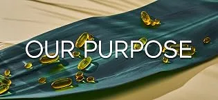 NatureWise Time Release Probiotics Maximum Care 40 Time Release Caplets - Our Purpose Image Softgels on Banana Leaf