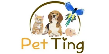 Pet Ting 1Kg Millet Spray for Birds and Small Animals - budgies Canaries Cocktaiel Parrots ETC - Pet Ting