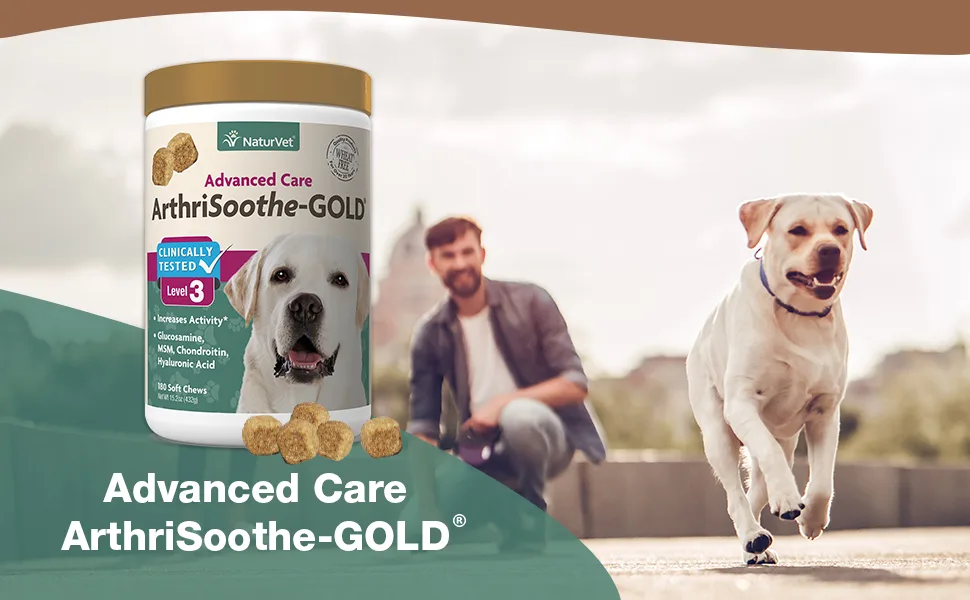 NaturVet ArthriSoothe-GOLD Advanced Care Level 3 180 Soft Chews 15.2 oz (432 g) - B00CNVAMC0 - Module 1