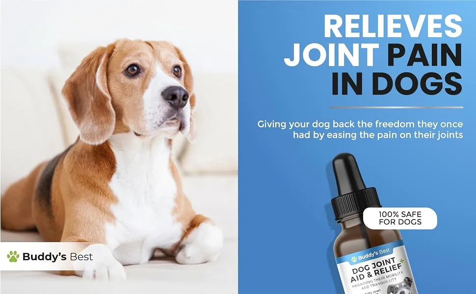 Buddy's Best Dog Joint Aid & Relief Plus | 50ml | Relieves Joint Pain in Dogs | Fast Acting Formula | Natural Ingredients | Made in the UK - Dog Joint 3