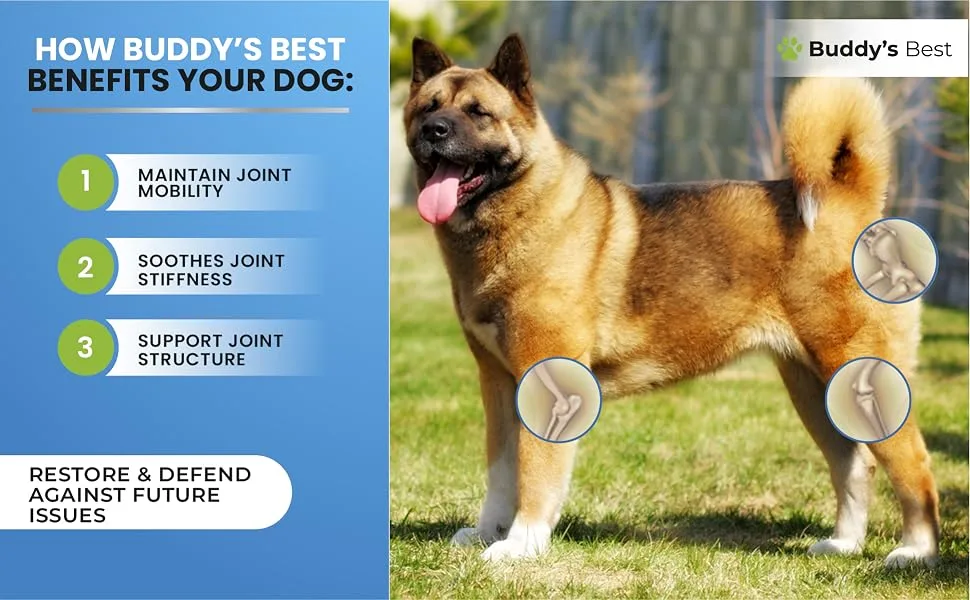 Buddy's Best Dog Joint Aid & Relief Plus | 50ml | Relieves Joint Pain in Dogs | Fast Acting Formula | Natural Ingredients | Made in the UK - Dog Joint 4