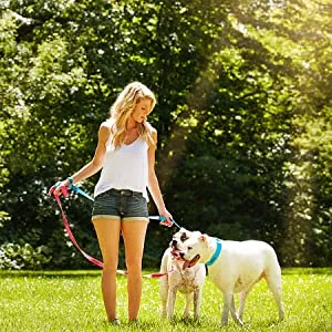 Nestling Biodegradable Thicker Dog Poop Bags with Dispenser 300 Dog Waste Bags Thick Strong Made from Corn Starch Plants Based (Black) - product information 9