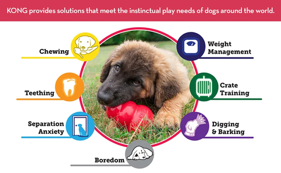 KONG Training Dummy X-Large ExtraLarge - KONG provides solutions that meet the instinctual play needs of dogs around the world
