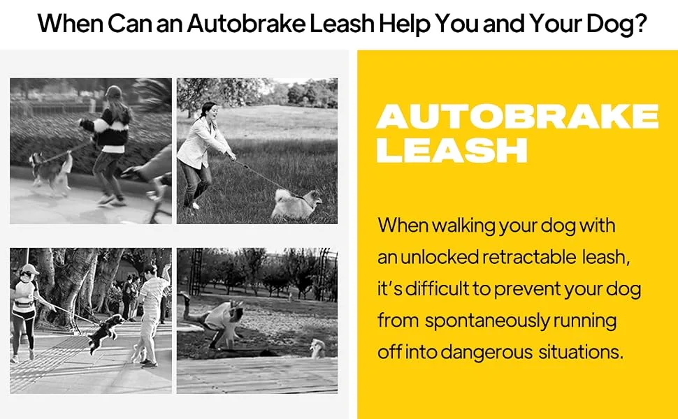 FIDA AutoBrake Retractable Dog Lead Anti Pull Patented Design for Dog Pulling 5m Heavy Duty Extendable Dog Lead for Large Dogs X-Large Size Extra Large - dog lead
