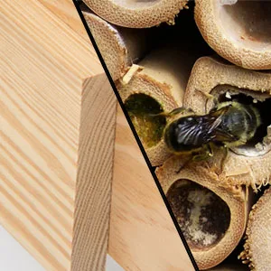 Bee Hotel with Wildflower Seeds. Help the Solitary Mason Bees Thrive with this Colourful Yellow Bee House - durable