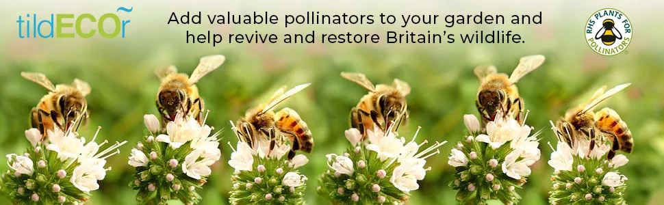 Bee Hotel with Wildflower Seeds. Help the Solitary Mason Bees Thrive with this Colourful Yellow Bee House - Hero image showing bees
