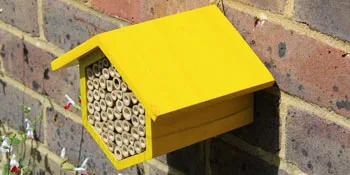 Bee Hotel with Wildflower Seeds. Help the Solitary Mason Bees Thrive with this Colourful Yellow Bee House - wildlife